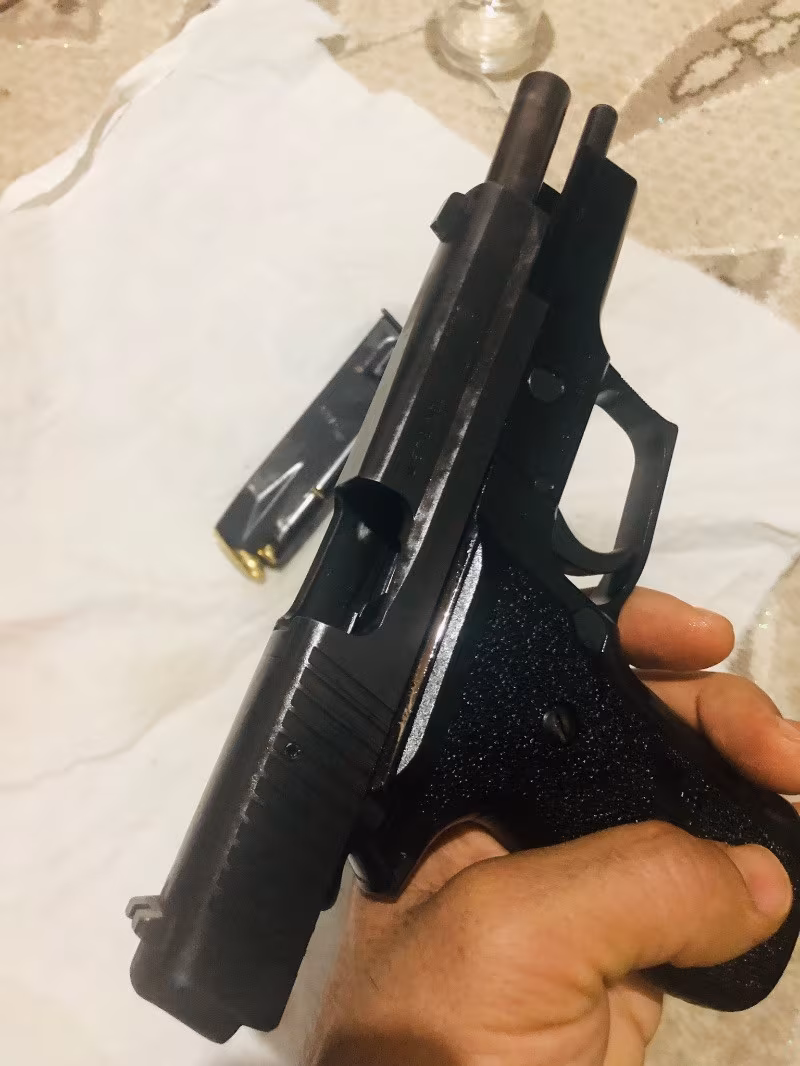 Sıfır denginde  sig saur