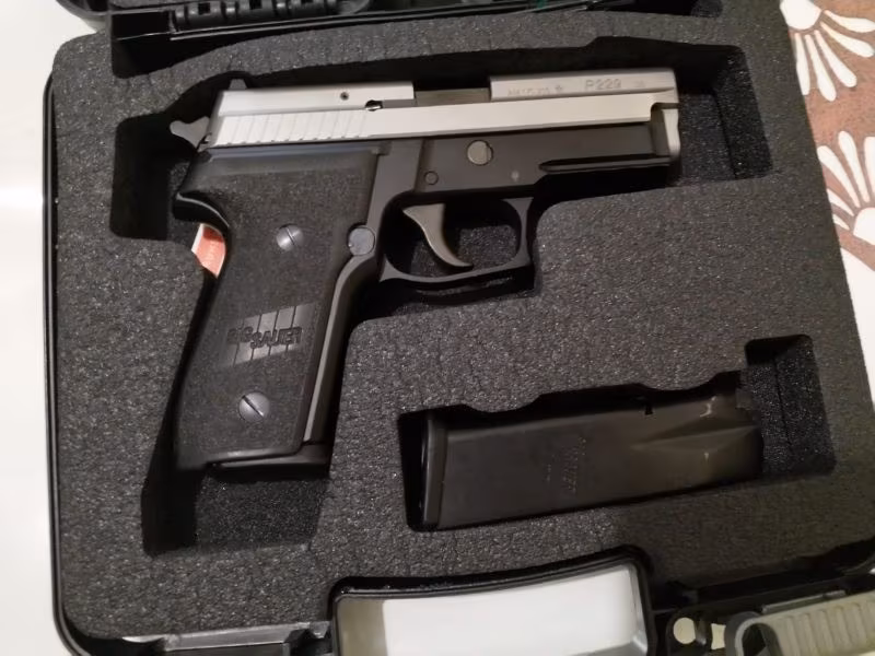 Sigsaur p229