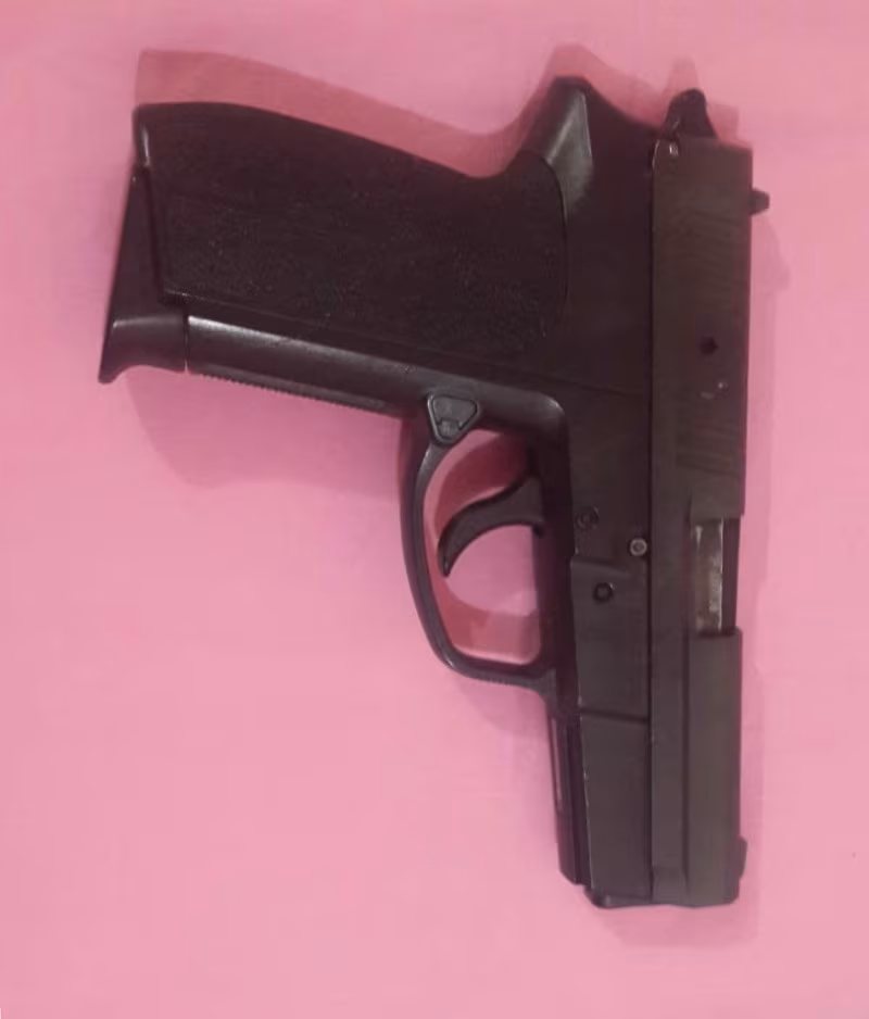 Sig Sauer Pro 2009
