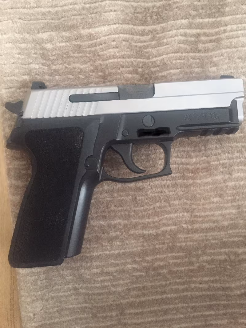 Sig p229 TwoTone