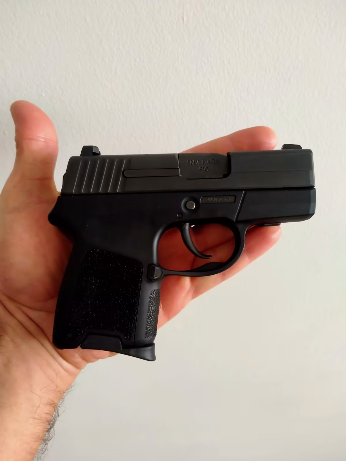 Sig Sauer p290sr