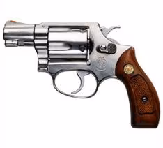 SMITH WESSON LEYDİ