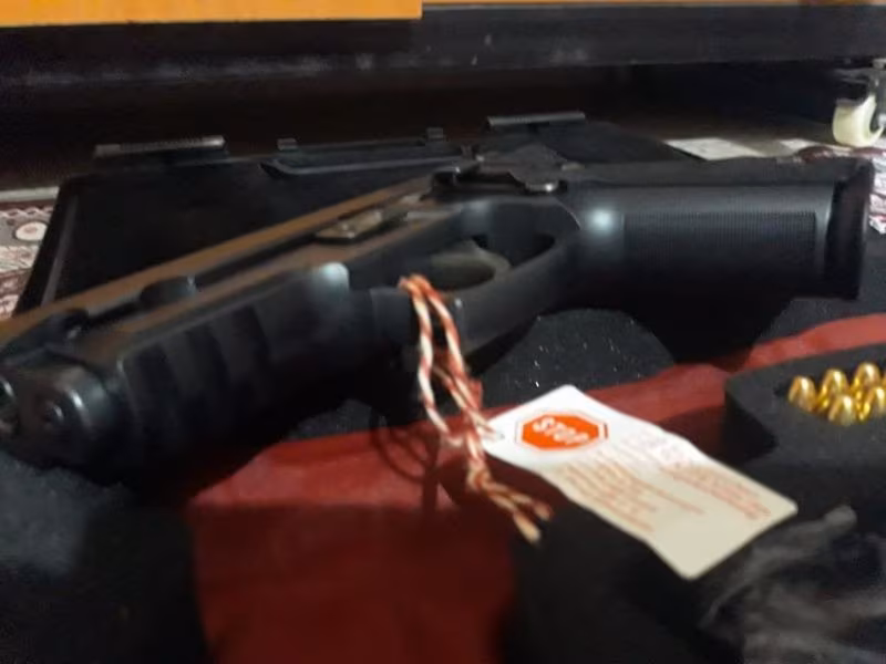 Sig sauer p229 also