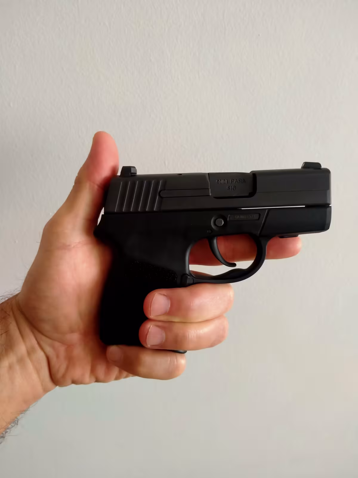 Sig Sauer p290sr