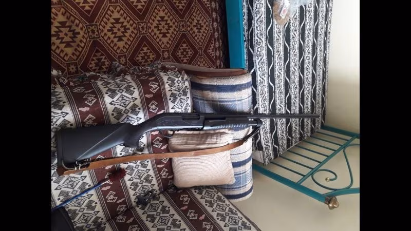 Hatsan escort field hunter