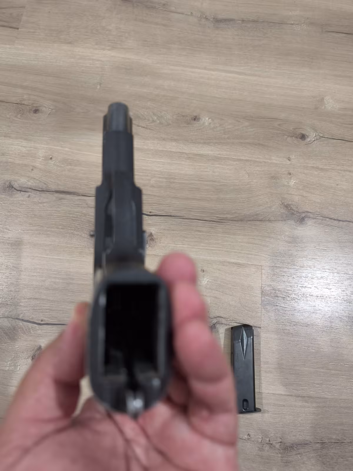 Emekli polis den ruger