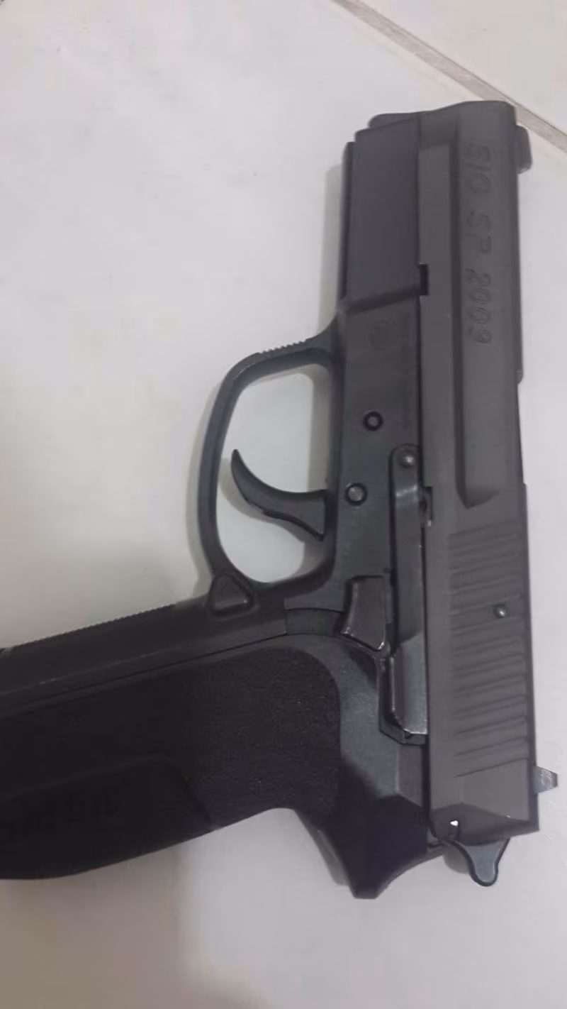 Sig Sauer Pro 2009