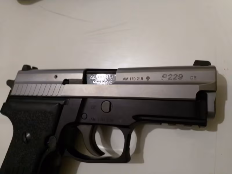 Sigsaur p229