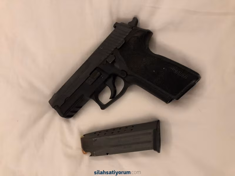 sig sauer p 229