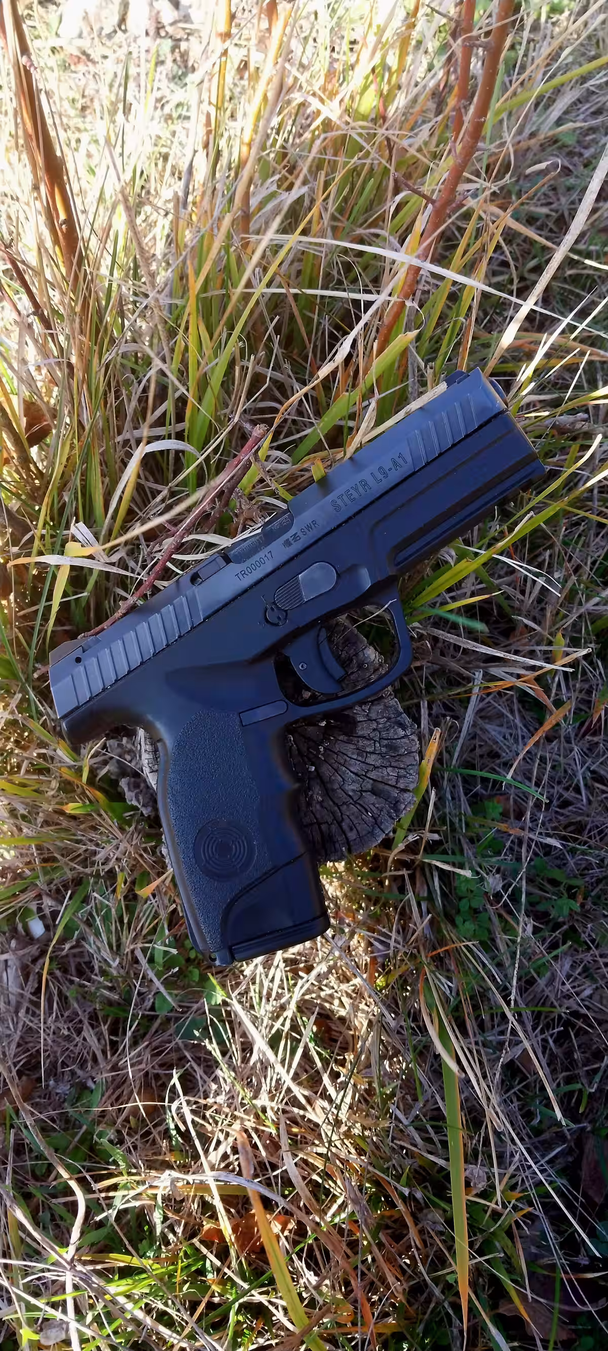 Steyr L9 A1